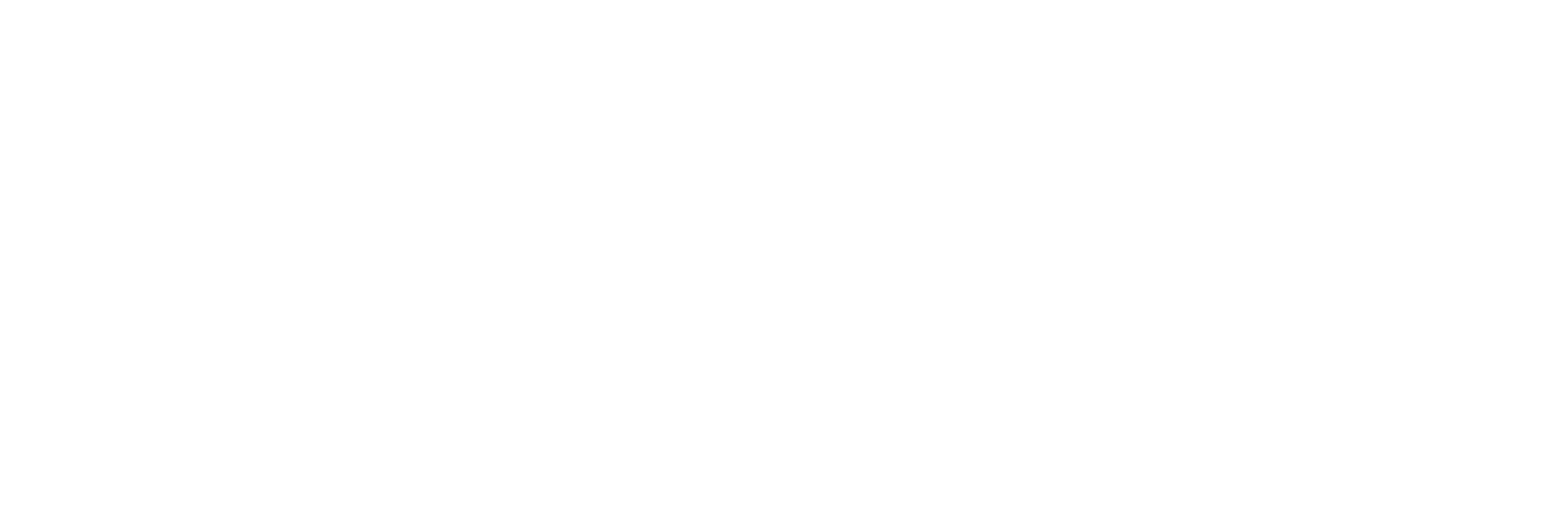 Insicon_Master_2025_white